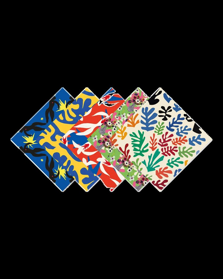 Henri Matisse Origami kit